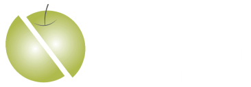 Logo Bianco - Newton Services Milano